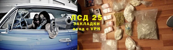 шишки Абинск