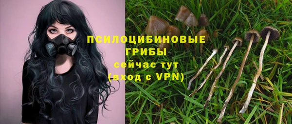 шишки Абинск