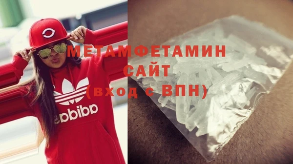 гидра Надым