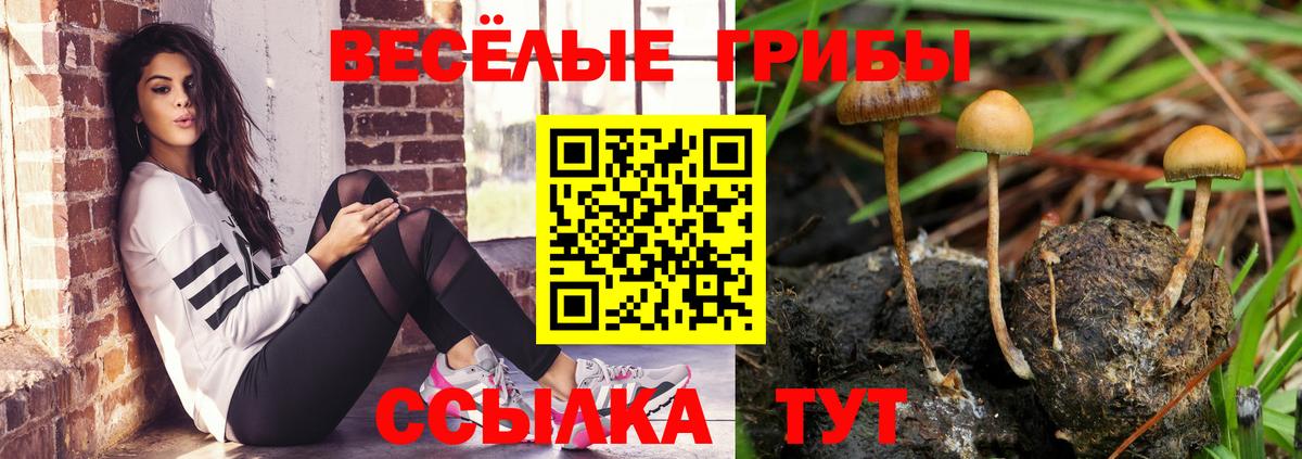 Галлюциногенные грибы прущие грибы  Вход с VPN  Советск 